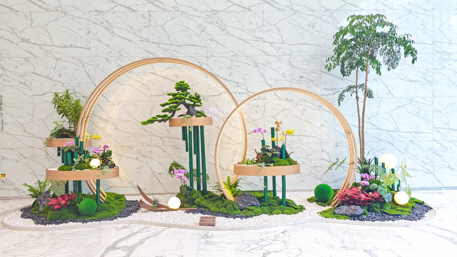 余姚植物出租,服务贴心,绿植焕新你的世界!